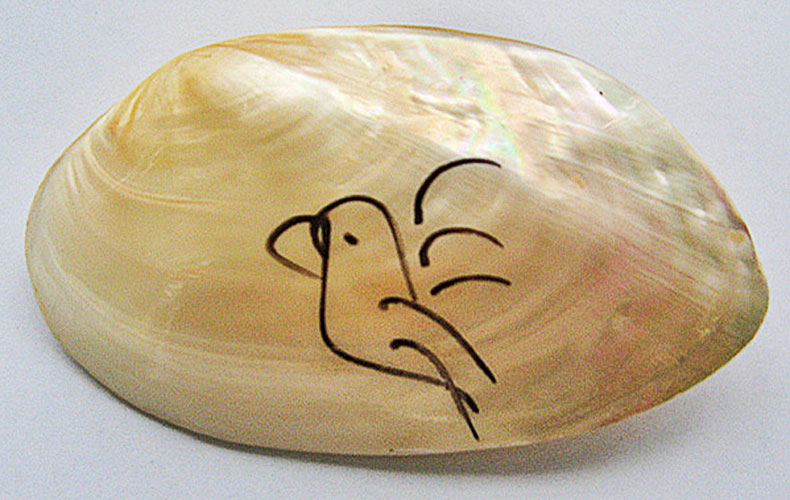 ckg-bird-mussle