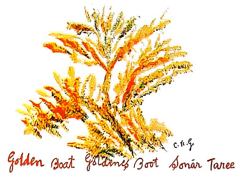 Golden-Boat-sri-chinmoy