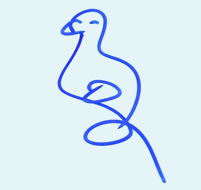 Bird-Drawing-CKG-und