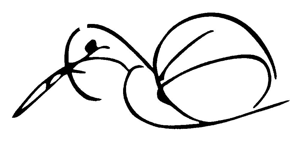 _Bird-Drawing-by-Sri-Chinmoy-undated296