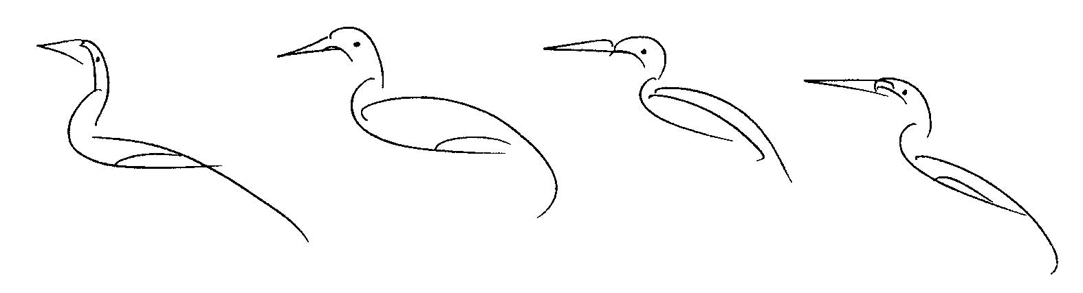 _Bird-Drawing-by-Sri-Chinmoy-undated-328