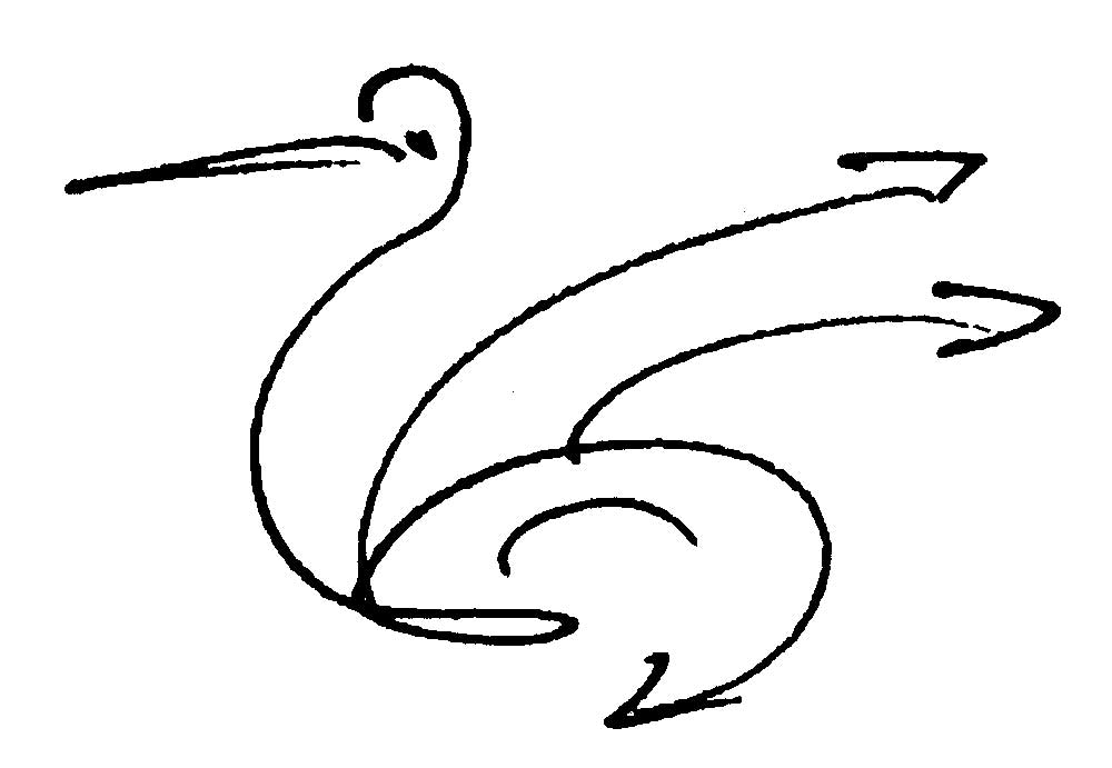 _Bird-Drawing-by-Sri-Chinmoy-undated-346